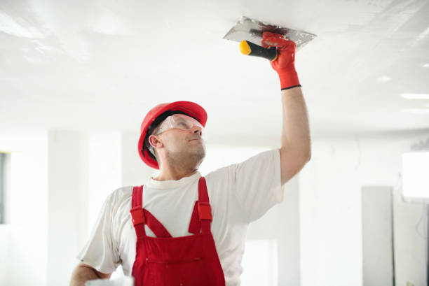 Pine Lawn, MO Drywall & Painting Services Company